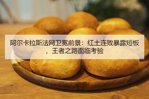 a-er-ka-la-si-fa-wang-wei-mian-qian-jing-hong-tu-lian-bai-bao-lu-duan-ban-wang-zhe-zhi-lu-mian-lin-kao-yan-2-361.jpg