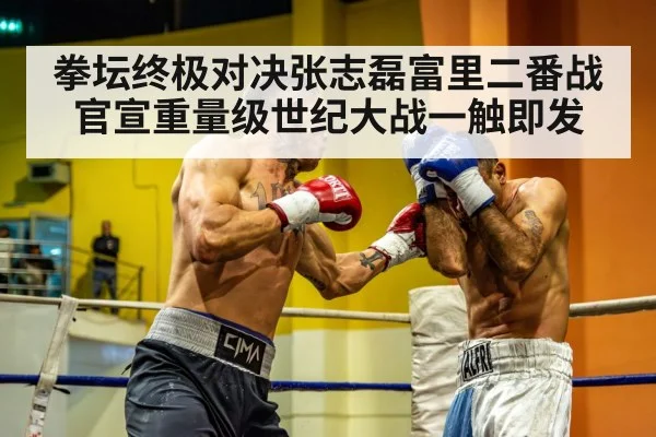 拳坛终极对决张志磊富里二番战官宣重量级世纪大战一触即发